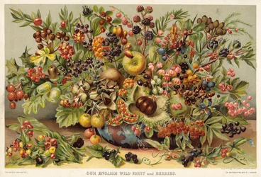 Our English Wild Fruit and Berries